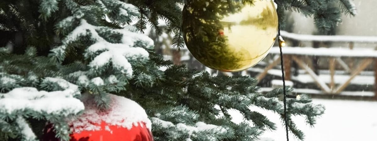 В Коробчицах Простоквашино, а на «Привале» Буратино — какие новогодние представления готовят в Гродно