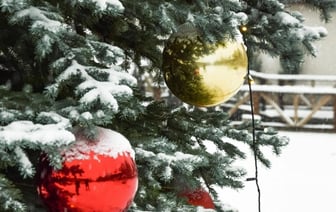 В Коробчицах Простоквашино, а на «Привале» Буратино — какие новогодние представления готовят в Гродно