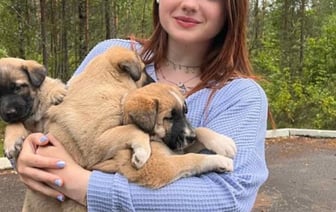 Спасение щенков в Беларуси