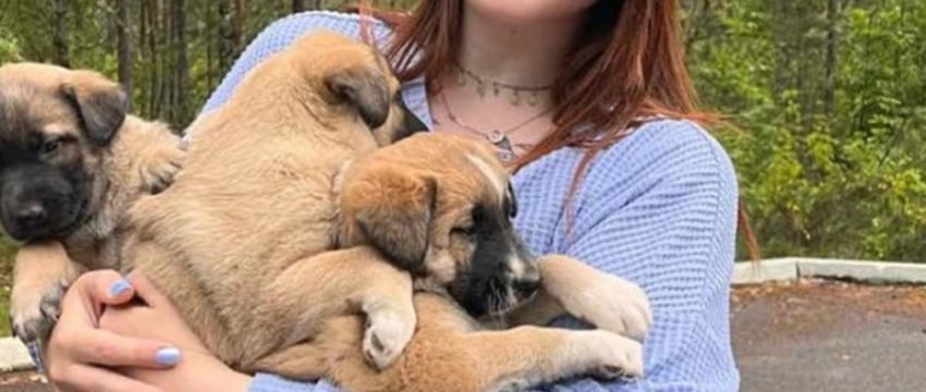 Спасение щенков в Беларуси