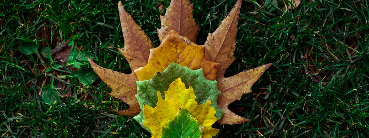 В Иране определились с ответом на израильские удары