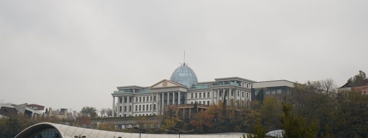 ЕС приостановил встречи с представителями правительства Грузии