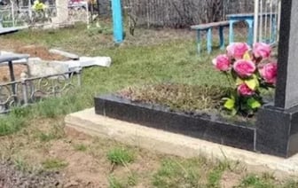 Жизнь на сельских просторах: реальность или миф?