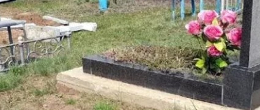 Жизнь на сельских просторах: реальность или миф?