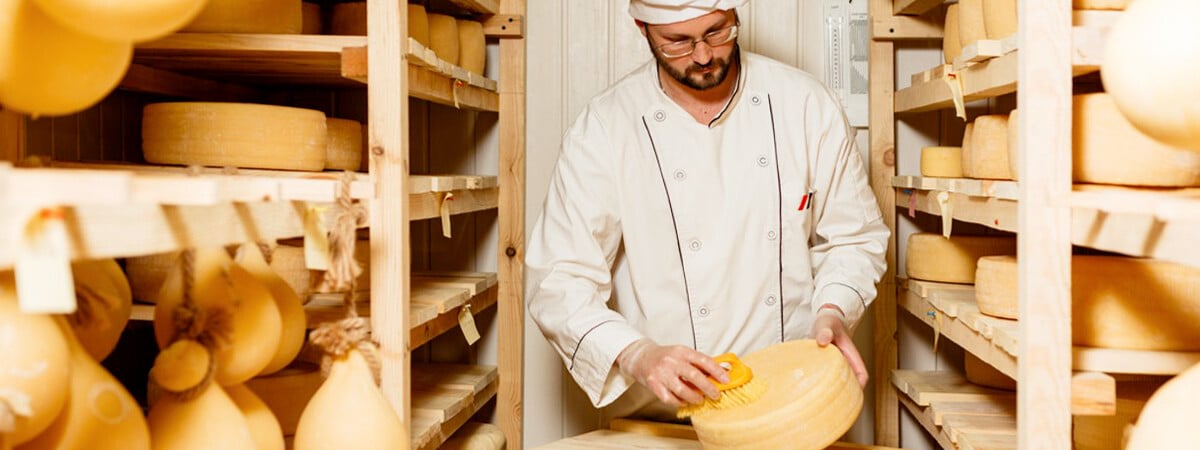 Учёные назвали самый полезный сыр в мире. Почему его можно есть даже «сердечникам»? — Фото