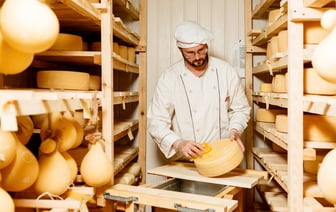 Учёные назвали самый полезный сыр в мире. Почему его можно есть даже «сердечникам»? — Фото