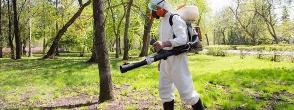 В Гродно с понедельника начнут обрабатывать зоны отдыха от клещей — что нужно знать