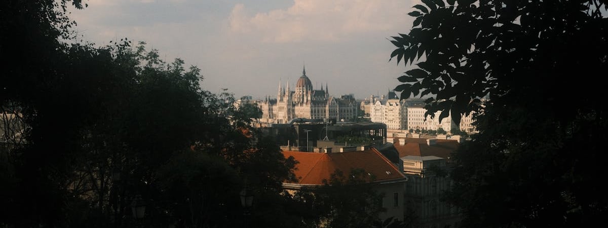 Тысячи людей в Будапеште требовали отставки Орбана из-за коррупции