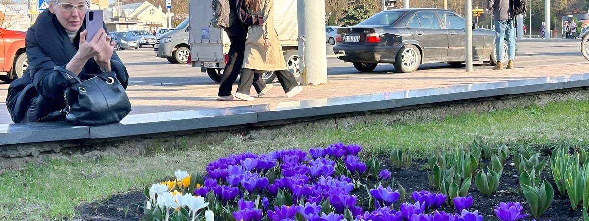 Отклонение от нормы +15,1°С. Витебск стал самой аномально теплой точкой мира — Фото