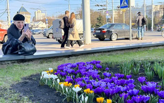 Отклонение от нормы +15,1°С. Витебск стал самой аномально теплой точкой мира — Фото