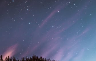 Без денег и без букета остался житель Новополоцка, покупавший цветы через Инстаграм