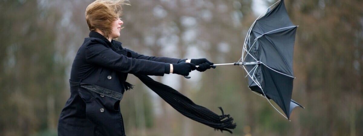 До 72 км/ч. Белгидромет спрогнозировал сильный ветер 14 апреля во многих районах Беларуси