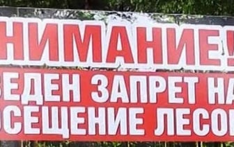 Ограничения на посещение лесов в Беларуси