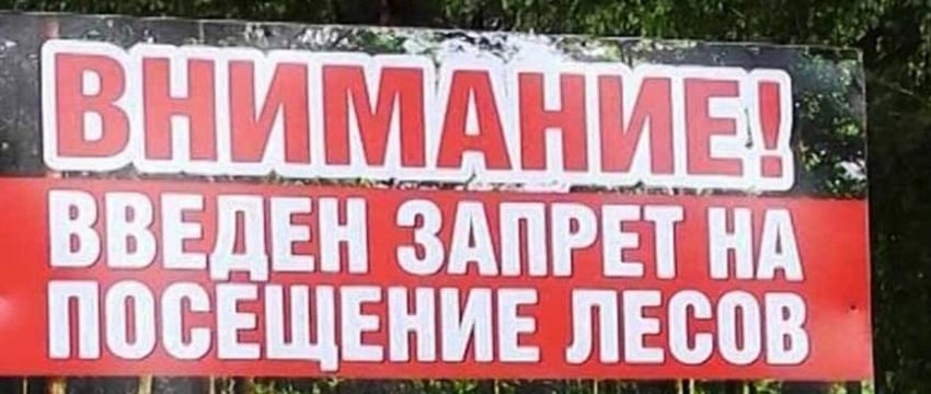 Ограничения на посещение лесов в Беларуси