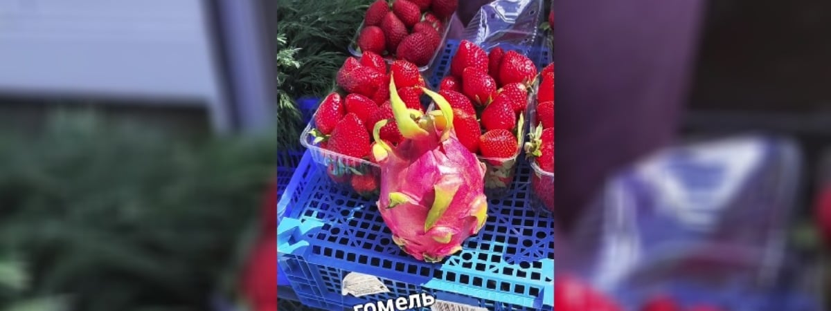 Драконий фрукт: цена в Гомеле и других местах