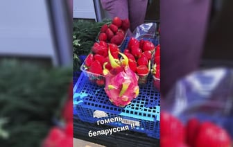 Драконий фрукт: цена в Гомеле и других местах