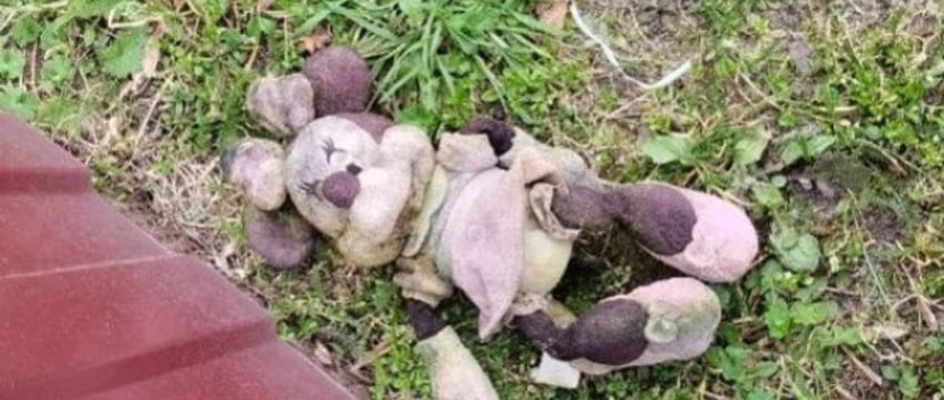 Белоруска снимала порнографию с участием своих детей