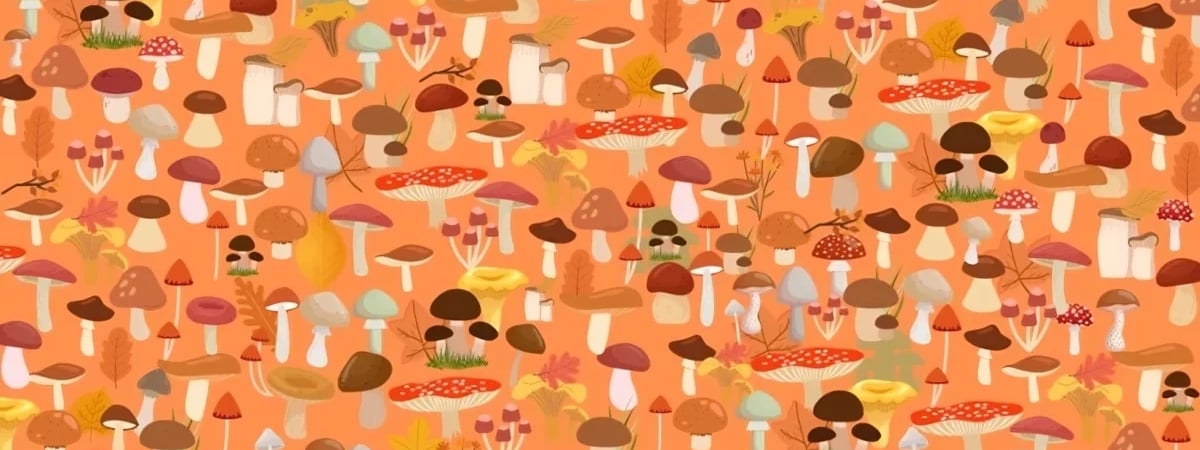 Сколько ёжиков на картинке? Только люди с соколиным зрением легко найдут всех — Фото