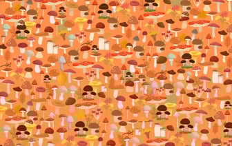 Сколько ёжиков на картинке? Только люди с соколиным зрением легко найдут всех — Фото