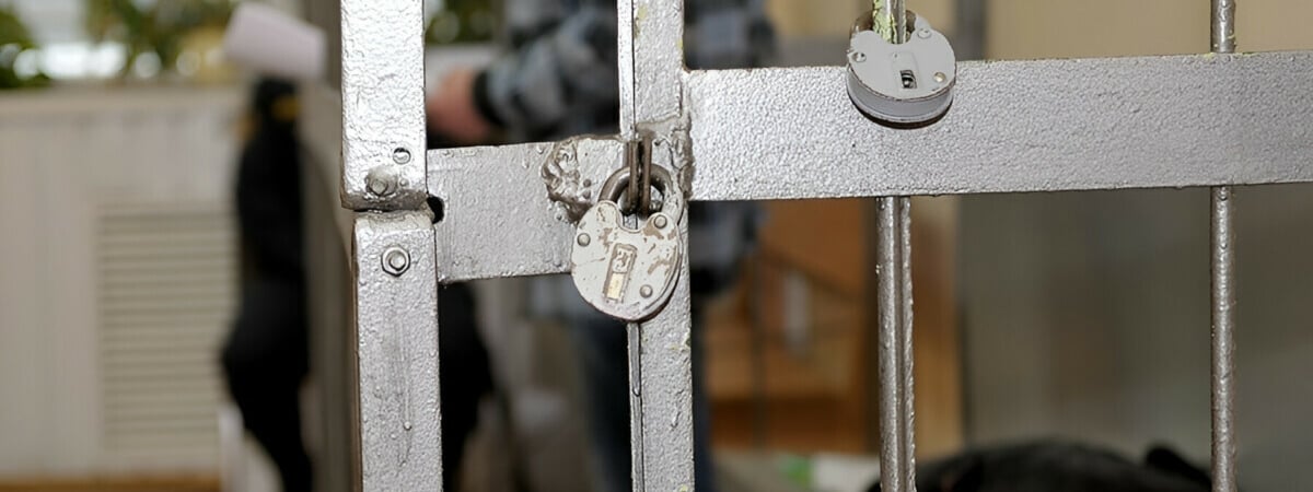 Бобруйский предприниматель обманул исправительную колонию на 334 тысячи рублей