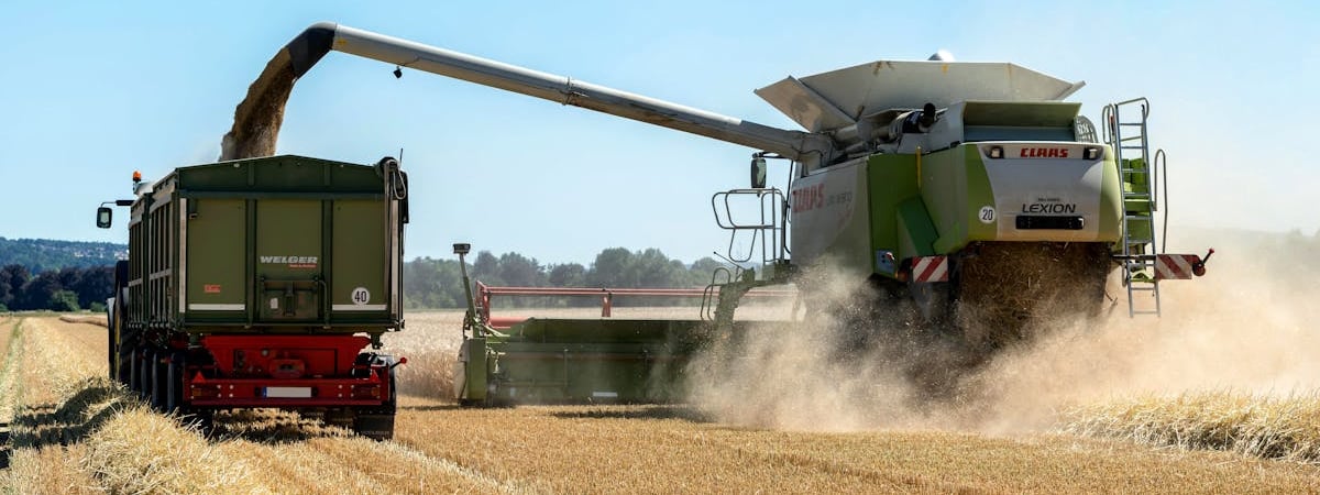 Экспорт зерна железнодорожным транспортом Украины в 2024 году вырос на 30%