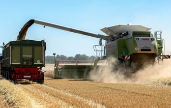 Экспорт зерна железнодорожным транспортом Украины в 2024 году вырос на 30%