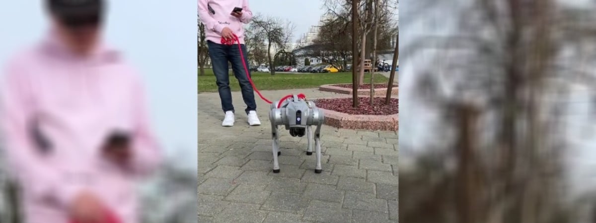 «Газоны чистые, лай не раздражает» — В Минске выгуляли собаку-робота — Видео