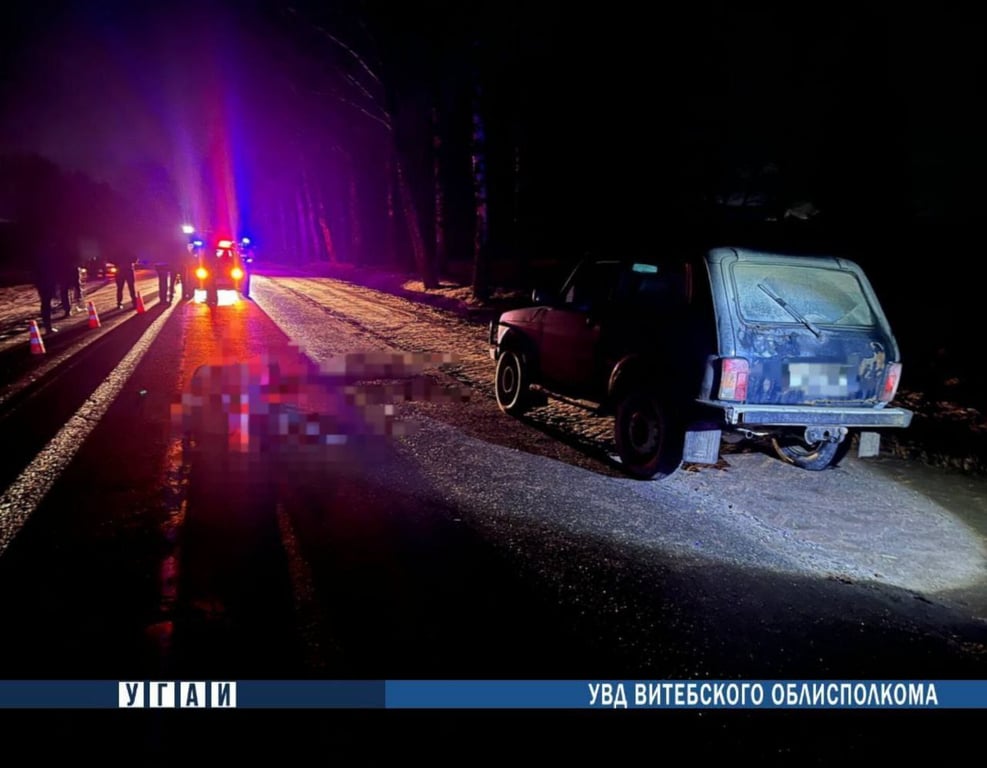Под Витебском насмерть сбили пешехода, ДТП произошло вечером. Фото ГАИ