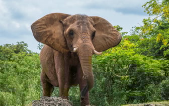 «Древнейший город Беларуси, и нет подобного ему». Полоцк включили в топ лучших веломаршрутов по стране
