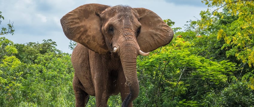 «Древнейший город Беларуси, и нет подобного ему». Полоцк включили в топ лучших веломаршрутов по стране