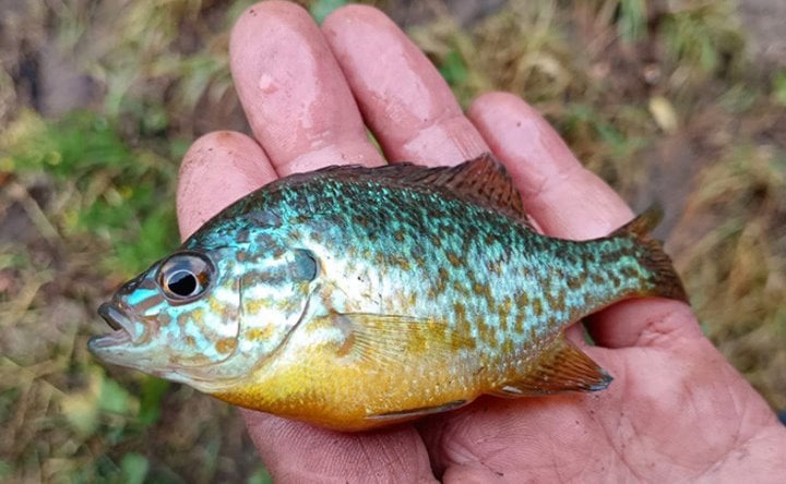 Фото из открытых источников (иллюстративное)