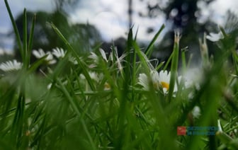Прогноз погоды на следующую неделю