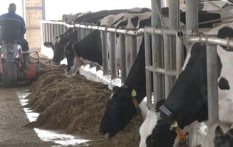 Несчастный случай на агропромышленном предприятии