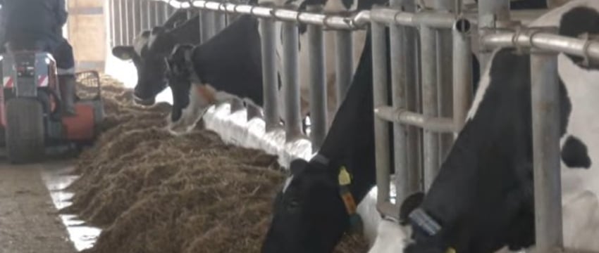 Несчастный случай на агропромышленном предприятии