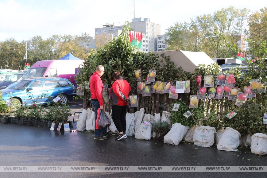 В Бресте стартовали осенние ярмарки - фоторепортаж