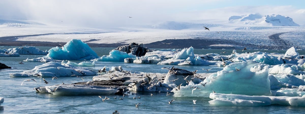 «Действительно ошеломляет» — Метеорологи зафиксировали самый жаркий день на Земле