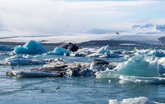 «Действительно ошеломляет» — Метеорологи зафиксировали самый жаркий день на Земле