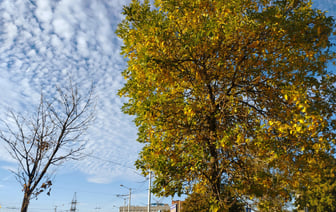 Никакой грусти. Прогноз погоды на неделю с 28 октября по 3 ноября