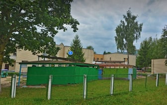 В Гродно на улице Лиможа хотят спилить деревья, но спросят об этом у горожан