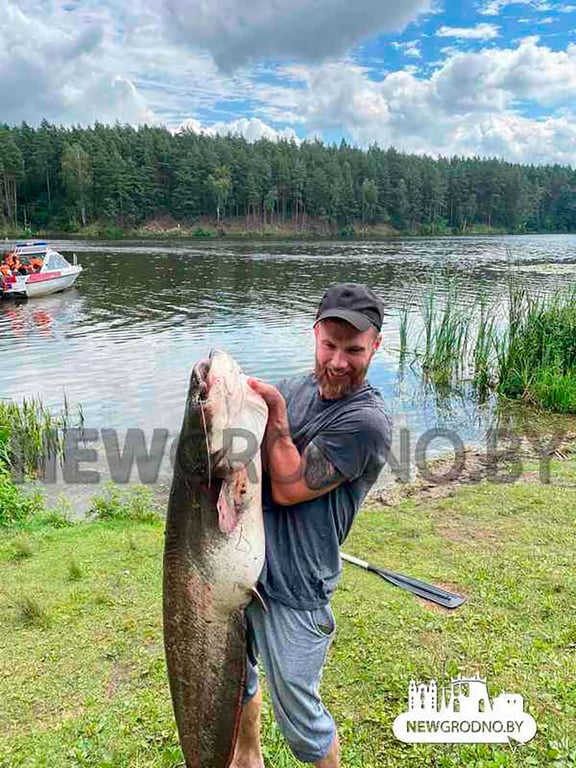 В Беларуси мужчина вытащил из Немана гигантскую рыбу – вес и размер впечатляют