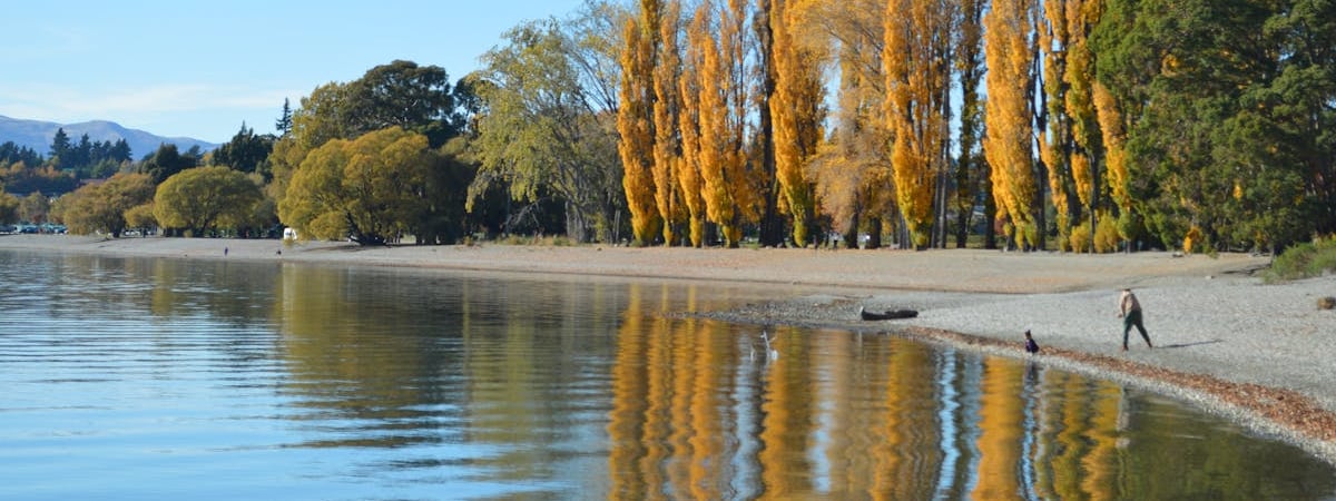 Цена на золото достигла нового исторического максимума
