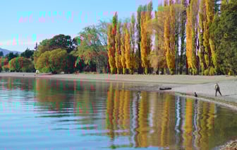 Цена на золото достигла нового исторического максимума