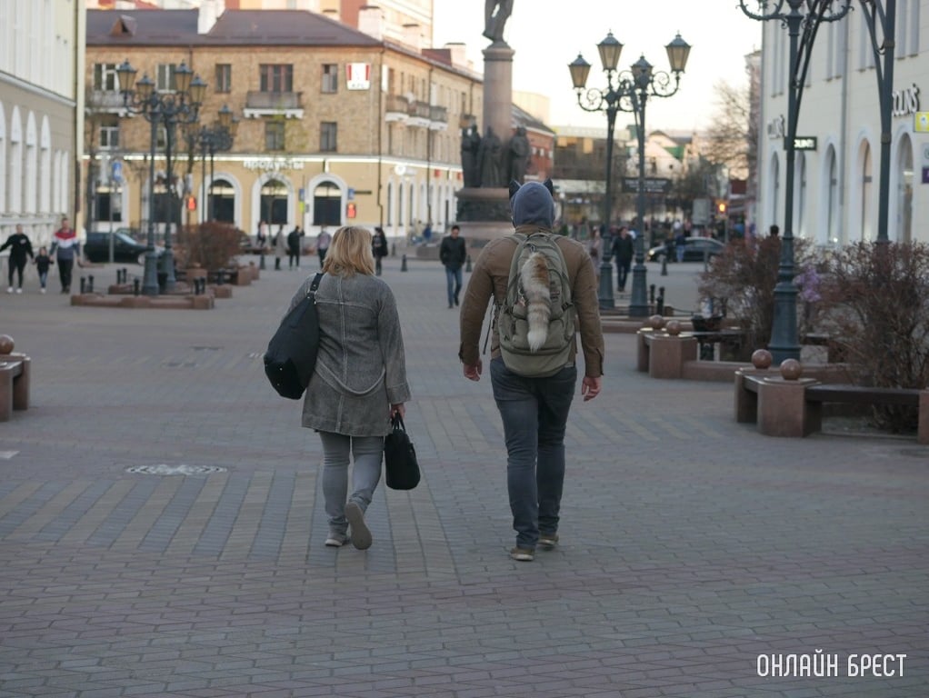 Фото носит иллюстративный характер