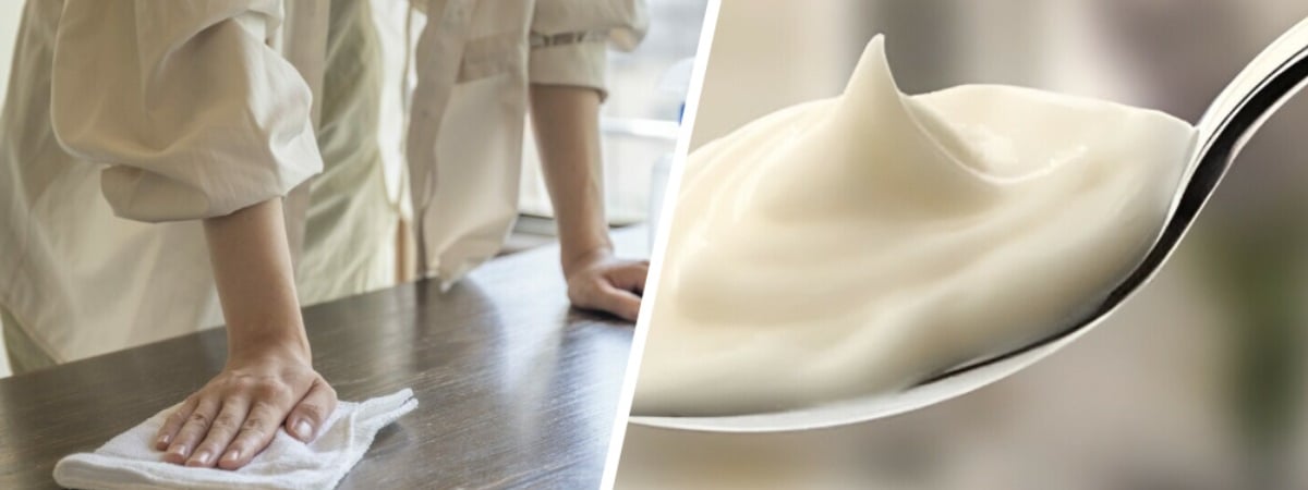 Как ложка майонеза может спасти вашу мебель? Об этой простой хитрости мало кто знает — Полезно