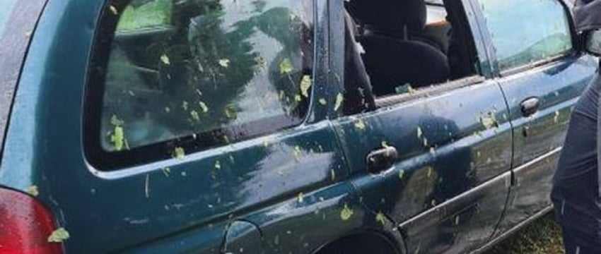 «Когда упала первая льдина, я поняла, что – все». Град размером с куриное яйцо повредил машину жительницы Барановичей