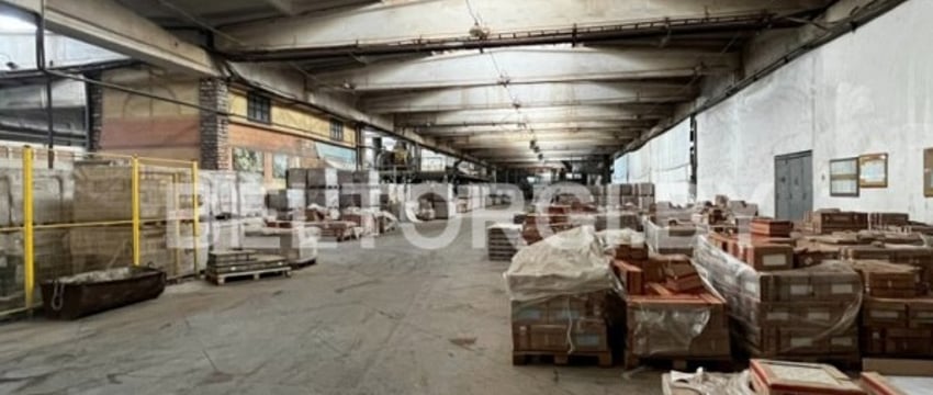 Крупный завод в Бресте не смогли продать даже со скидкой 90%