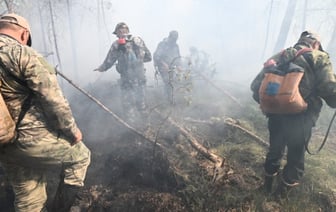 Крупный пожар в Столинском районе: появилась версия, почему он возник