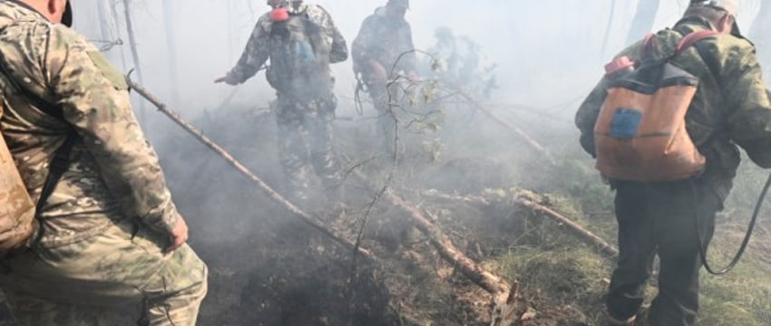 Крупный пожар в Столинском районе: появилась версия, почему он возник