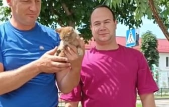 История спасения со счастливым концом. В Жабинке спасли котенка, который два дня находился под капотом автомобиля