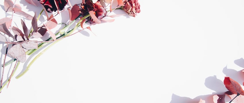 В Полоцком погранотряде рассказали сколько нарушителей границы задержали в этом году